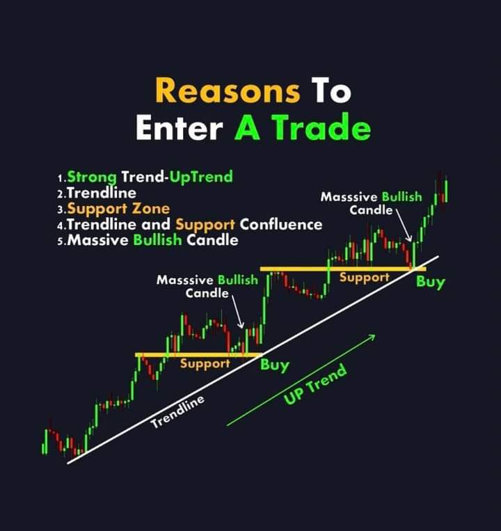 Grace Lev tweet media