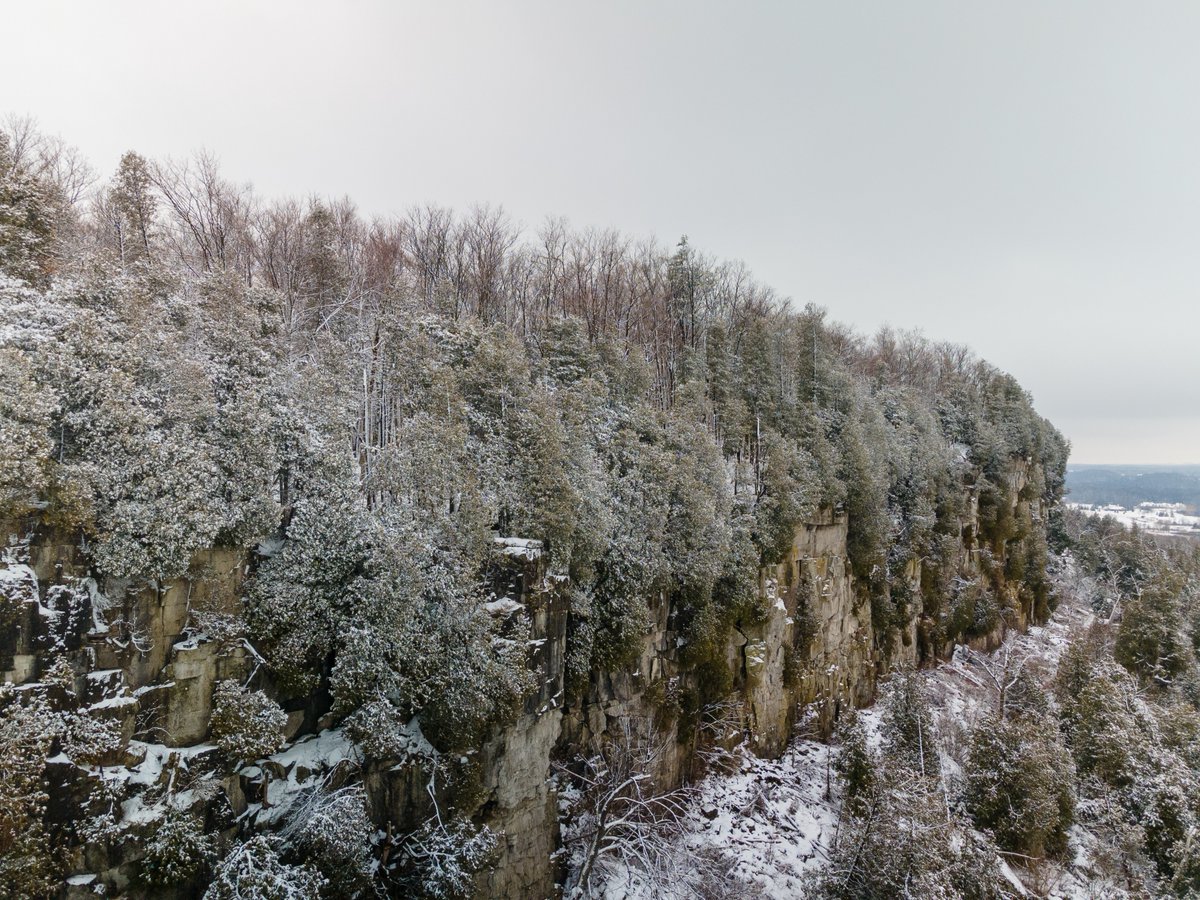 greenbeltca's tweet photo. The Ontario Greenbelt turns 18 on February 28! 🎂 Historic land protection and planning took place long before the Greenbelt, so let's look back on some of the moments that led to its creation.  1/3 https://t.co/DhfWEKmVh3