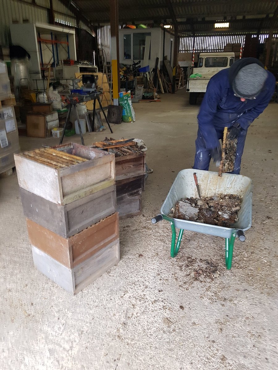 It's not all glamour at Lincolnshire Apiaries. Scrapping out old frames is pretty on most bee farmers' most despised jobs