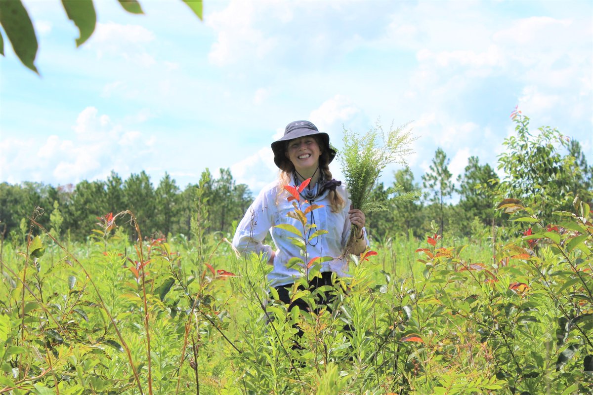 Excited to share our latest on #drugdiscovery from nature! Completed huge screen of plants against #COVID19 virus, identifying 2 w/ potent activity. Collab w/ <a href="/drugbuster21/">Raymond Schinazi</a> <a href="/thejonesctr/">The Jones Center at Ichauway</a> <a href="/mobotgarden/">MO Botanical Garden</a> #QuaveLab <a href="/EmoryHerbarium/">Emory Herbarium</a> @cateinthelab 
Press release ⬇️ esciencecommons.blogspot.com/2023/02/extrac…