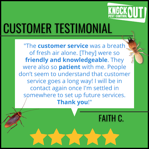 knockoutpest1's tweet photo. You are absolutely correct, Faith.  Customer service is SO important when it comes to pest control.  We are thrilled our team provided you with excellent service, and we look forward to partnering with you again in the future!

Read More Testimonials: https://t.co/MuegYIN9r3 https://t.co/9xzUHhcgZI