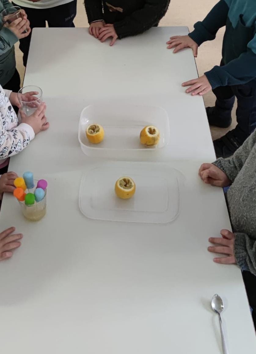 AMPA CEIP SanKris tweet media