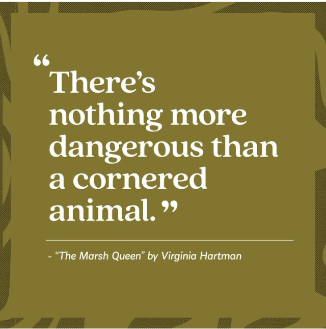 virginiahartmn's tweet photo. Thanks to Aardvark Book Club for this art card!

#TheMarshQueen #GalleryBooks #SimonandSchuster #novel #booksoftwitter #floridafiction https://t.co/oBVKrErYyw