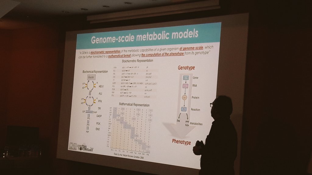SynBio4Flav's tweet photo. Insights into #flavonoid production using #microbialconsortia with @Jnogales_SBG at the annual workshop of @CNB_CSIC's department of #SystemsBiology 👇🏿 https://t.co/KpSDiYxrD9