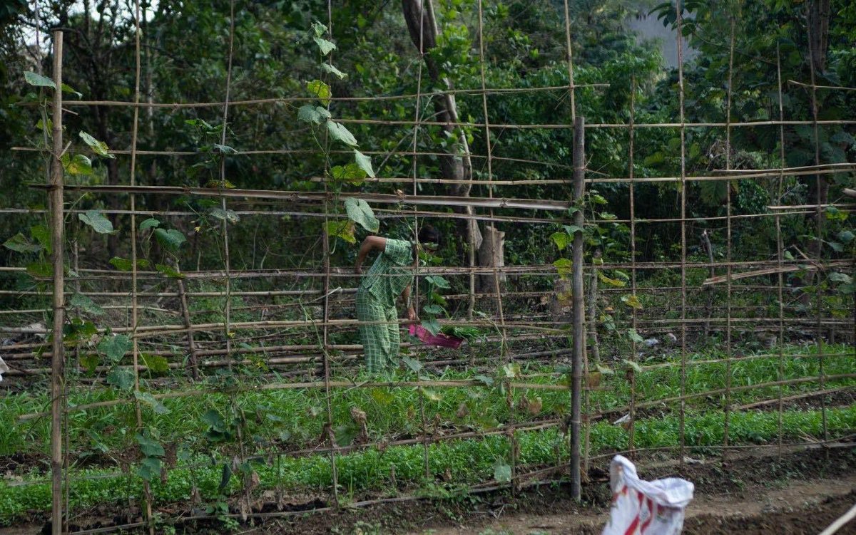 ChiNcw123's tweet photo. Currently, many Yangon Railroad workers now are forced to live in the jungles in movable tents because their lives have been thrown into the bush with no hope for the future because of their opposition to the junta regime
@UN @ASEAN
#2023Feb10Coup #WhatsHappeningInMyanmar https://t.co/IP7BT9aii1