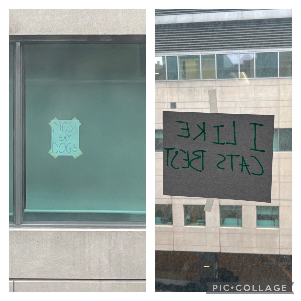 AlannaWeisman's tweet photo. My assistant’s daughter has been stopping by our office @SinaiHealth and struck up a window conversation with someone across the street @pmcancercentre @UHN. I’m enjoying following along! https://t.co/Js2p8bRO4g