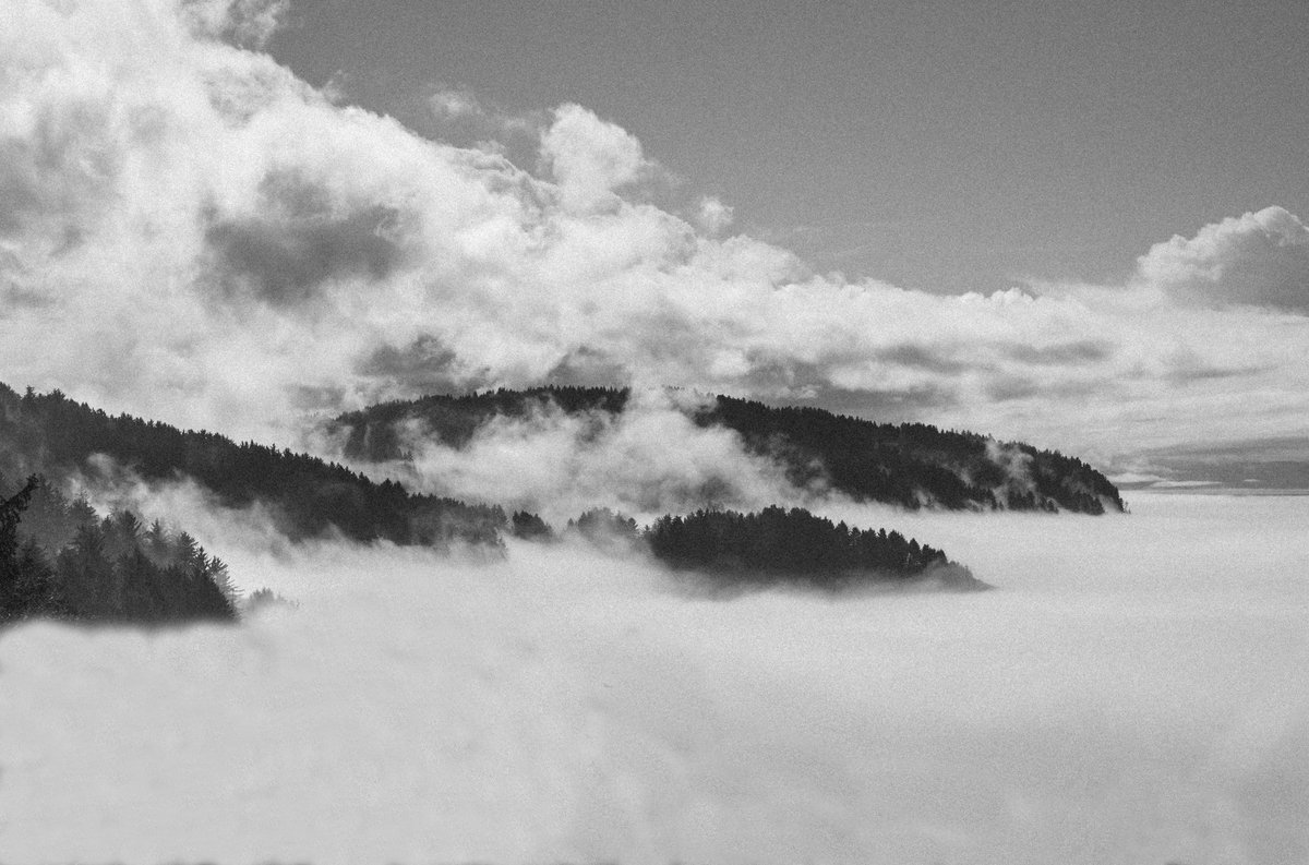 Ian Deloney tweet media