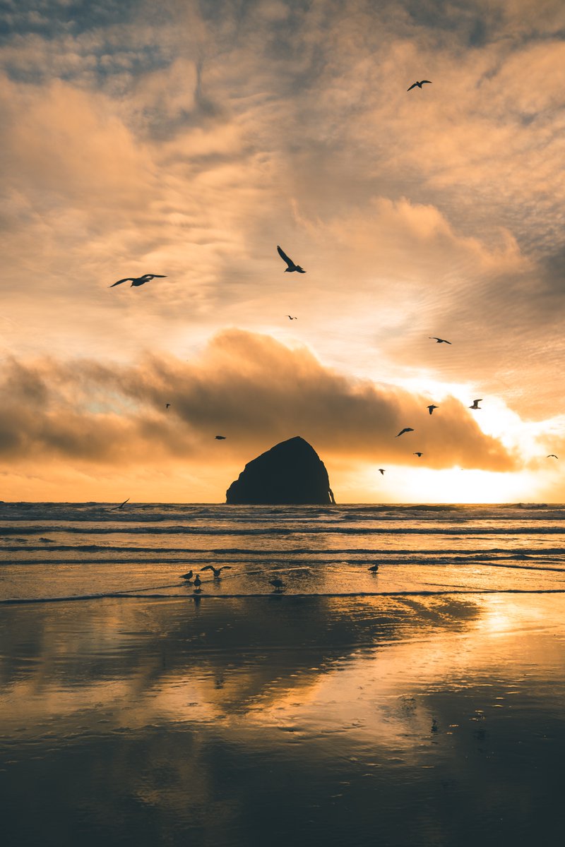 Ian Deloney tweet media