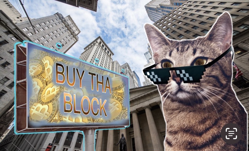 CATOSHISYNDICAT's tweet image. Got some big bags dog - I’m talking Alpo.  Underlying liquidity on top of Algo. Rhythmically speaking I beat you there is no sequel no chat GPT nor R2-D2 nor fucking deep blue. #BARSISBACK