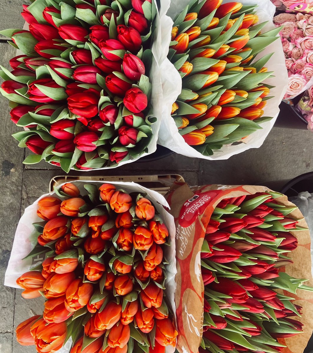 ahora solo me fijo en los tulipanes cuando paso por una floristeria