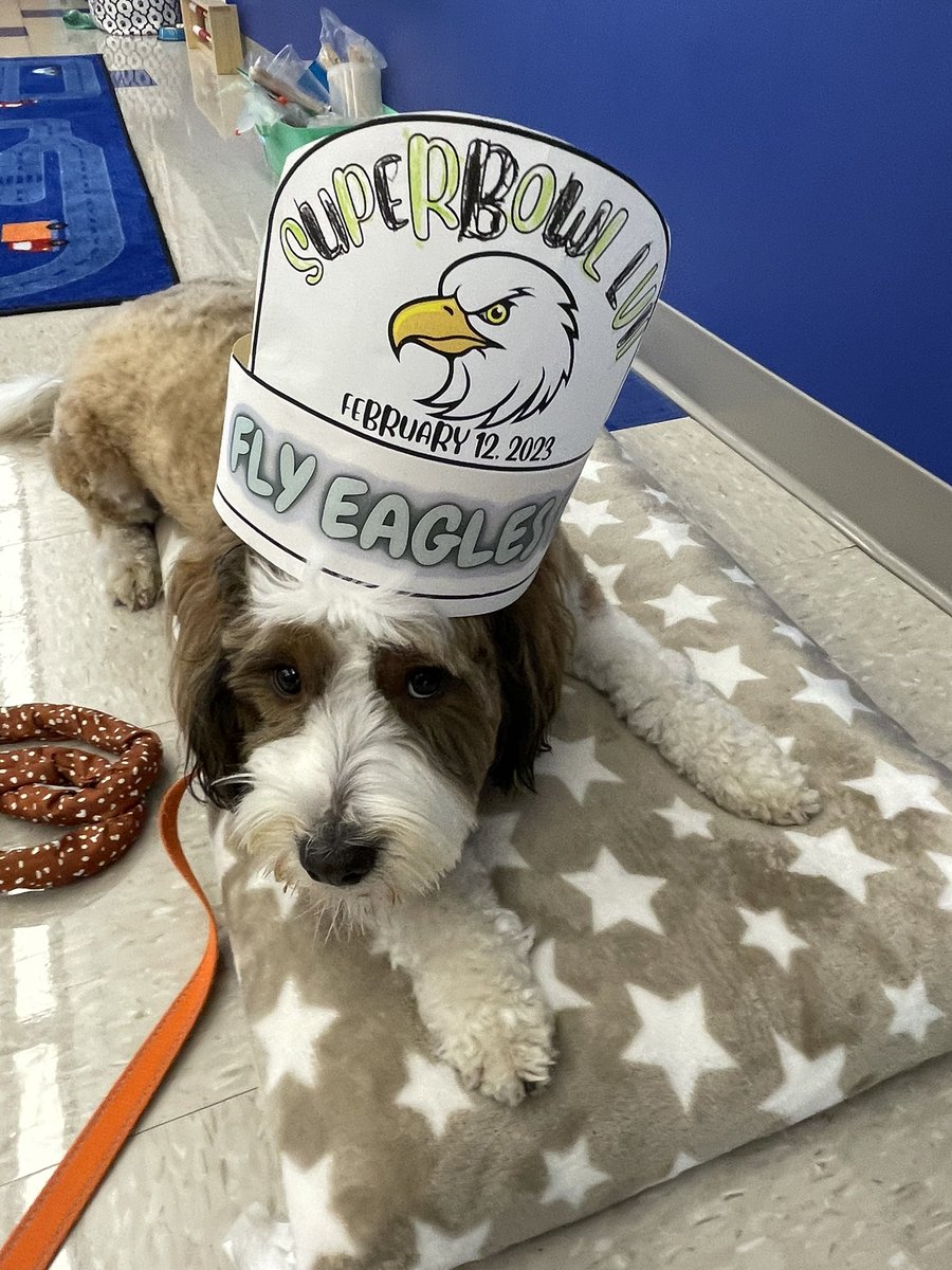 Beth Traczykiewicz tweet media