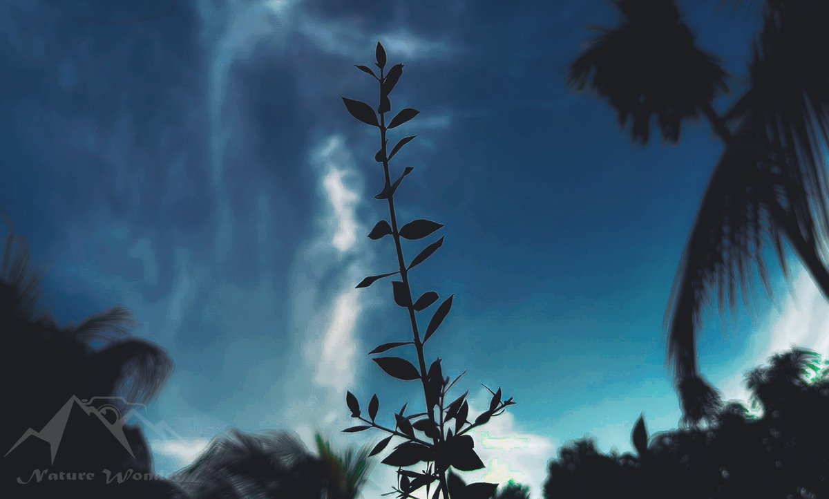 NatureWonder_'s tweet photo. Be u r self … sky will always shine behind you…. 🌿❤️
#sky #clouds #fabskyshots #bluesky #cloudstagram #beautiful #cloudporn #skyporn #air #blue #white #depression  #sadness #life #brokenheart #feelings #follow #anxiety #sadedits #like #yourself #being #motivation #loveyourself https://t.co/N1n3psOQg6
