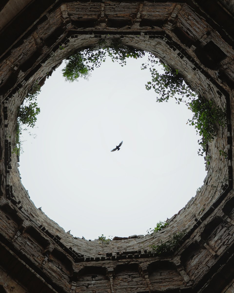 notsoharshhhh's tweet photo. Escaping the reality 🕊️ https://t.co/UDmCaWSHJn