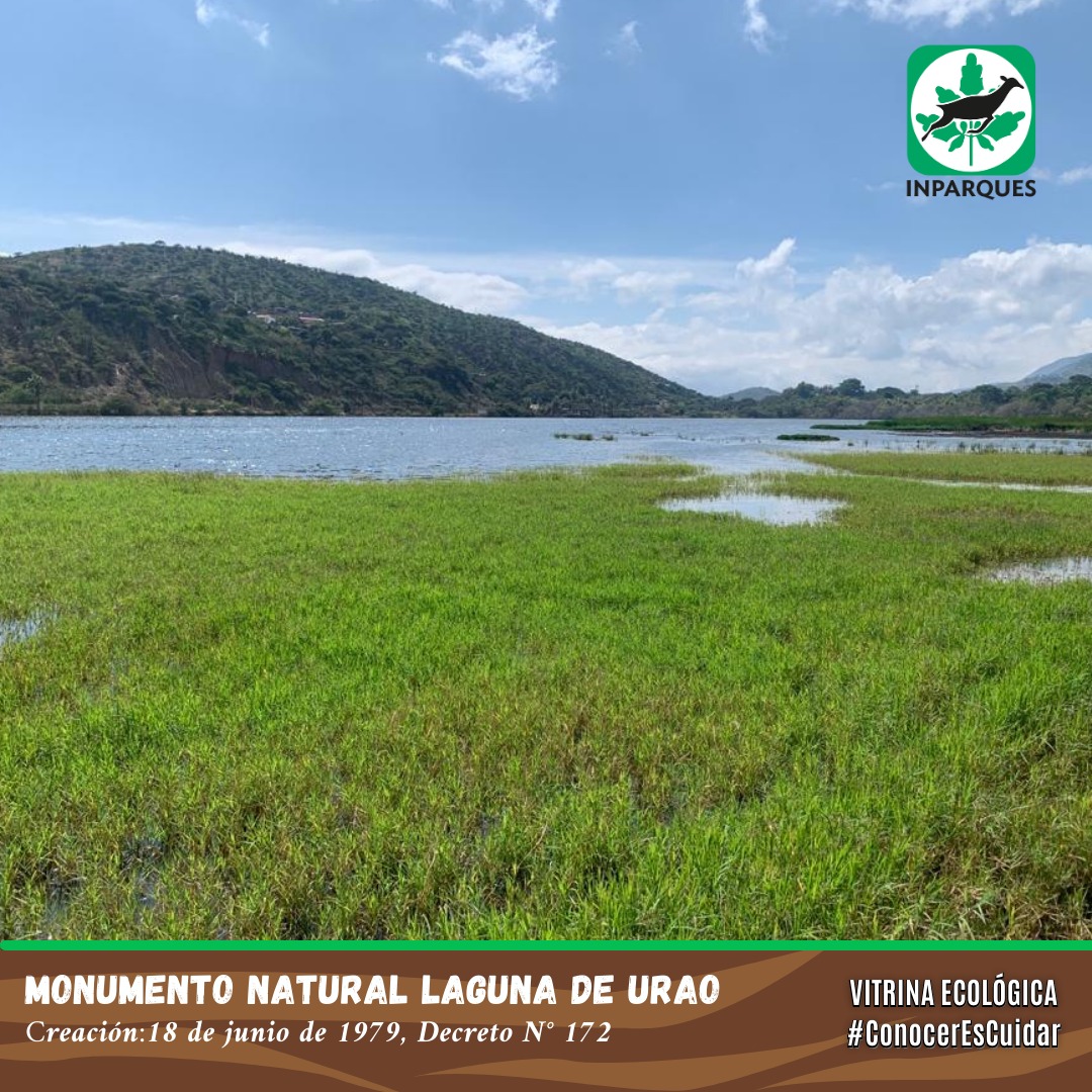 #VitrinaEcologica 💚En el centro de nuestra Cordillera Andina, Sector La Variante-El Vigía, Estado Mérida, a una altitud de 1.135 m.n.m.n. encontraremos el Monumento Natural Laguna de Urao.🏞️

#SerieDelCaribeGranCaracas

<a href="/NicolasMaduro/">Nicolás Maduro</a>
<a href="/MinecOficial/">MinecOficial</a> 
<a href="/JosueLorcaV/">Josué Lorca Vega</a>