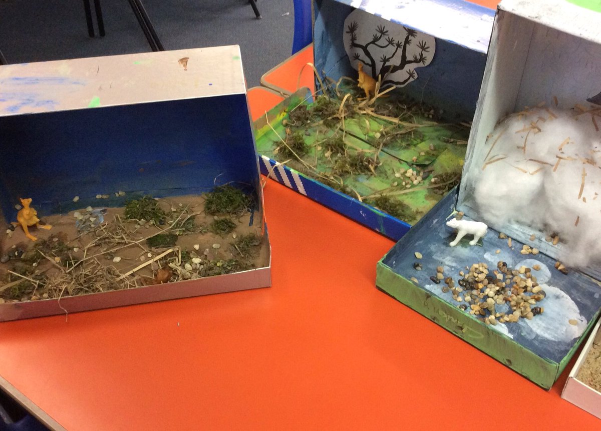 MrsAnderson_DS's tweet photo. Primary 3 have been busy creating habitats based on research of climates and animals. #habitats #animals #land @DanestoneP https://t.co/uCCr5eIQim