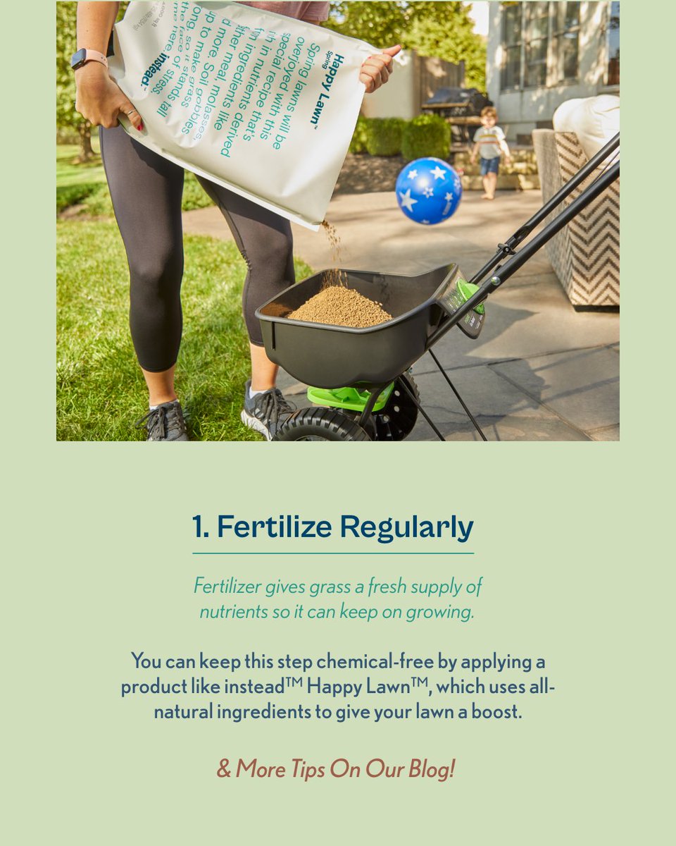 shopgreendigs's tweet photo. How can you get a yard full of thick, green grass without chemicals? The answer is twofold: A dedicated lawncare regimen and the right all-natural products to keep it grooving. 🌱

To continue reading about how to grow green grass, naturally, head to our website. https://t.co/09JCPGVMp9