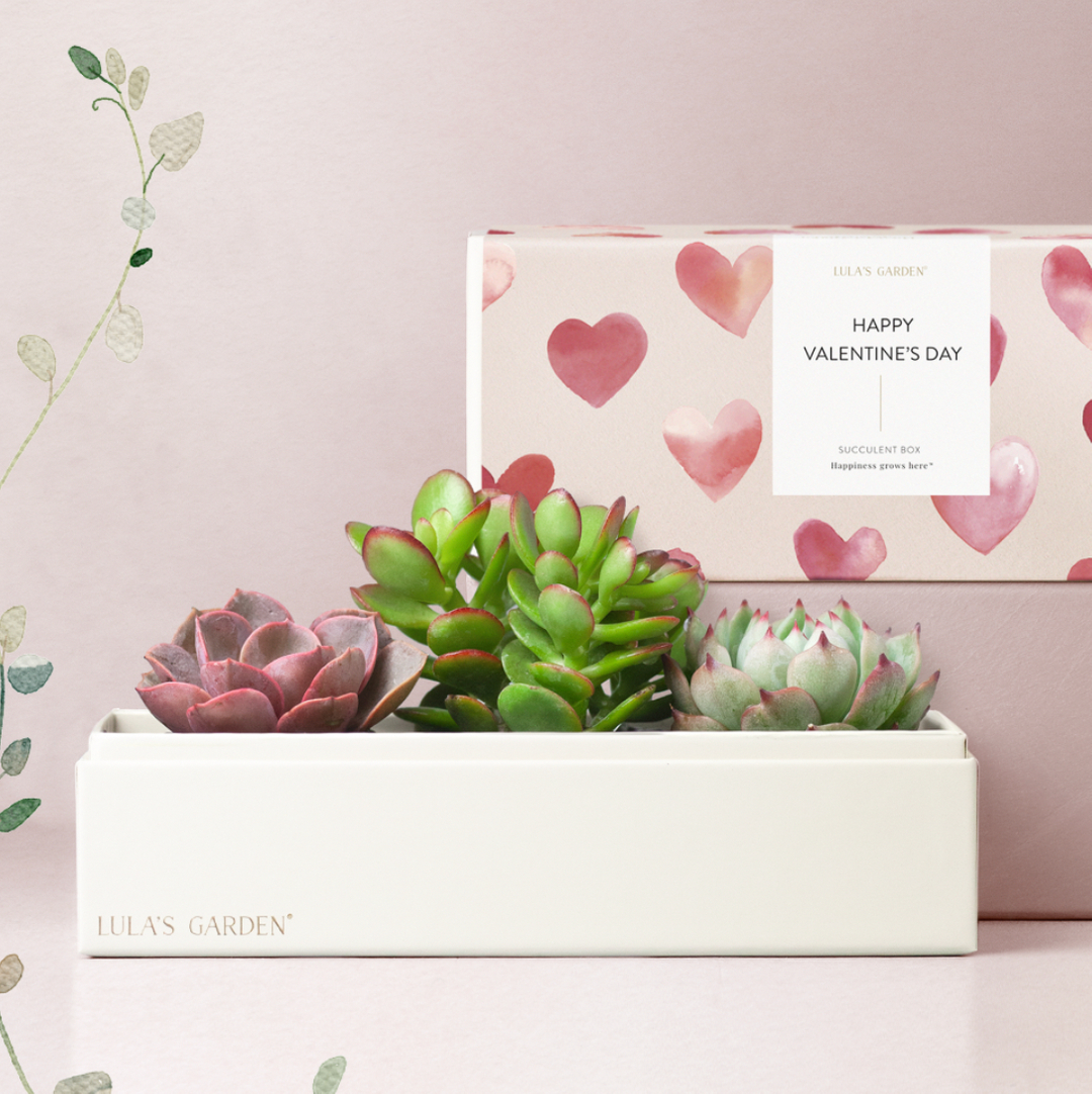 There's still time!! Select Overnight shipping at checkout to receive your V-Day gift on time for the big day 💝