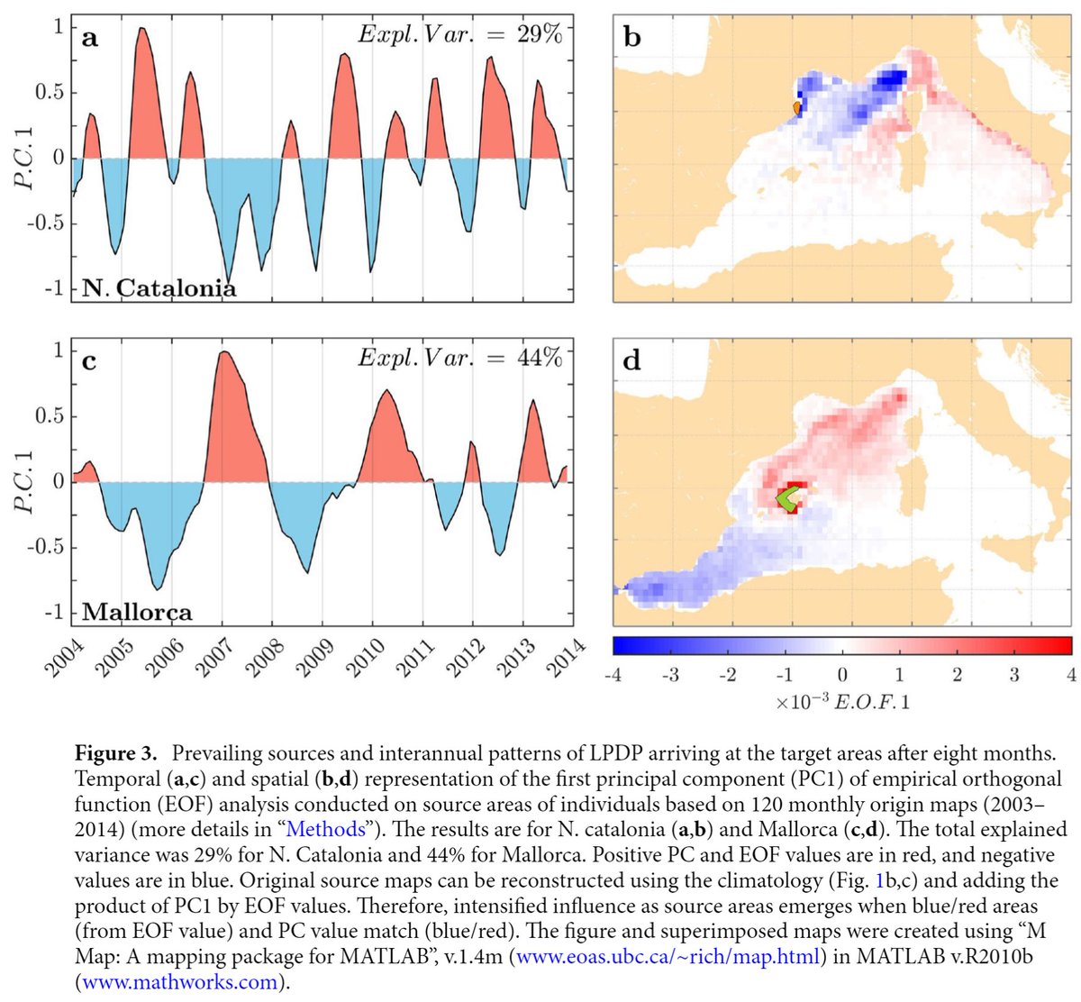 an_amores's tweet photo. Check out our new paper published @SciReports led by @err_blueingreen: 
Atmospheric–ocean coupling drives prevailing and synchronic dispersal patterns of marine species with long pelagic durations (https://t.co/alsO6cSuLA).
@andresospina @IMEDEA_UIB_CSIC @UIBuniversitat https://t.co/NQBct8bntr