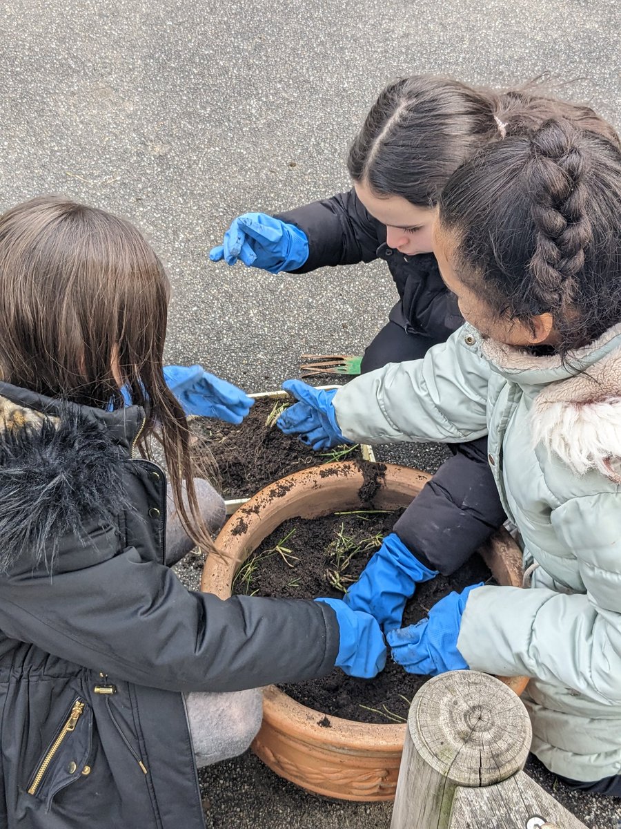 This afternoon our pupil have enjoyed 'Time to be Merry'. Members of this half term's winning house team Emerald got first pick of the activities including lego, mindful colouring, yoga, football, newspaper fashion design and gardening.
