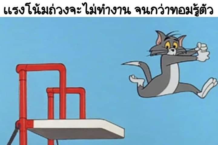 ค่อนคลุง tweet media
