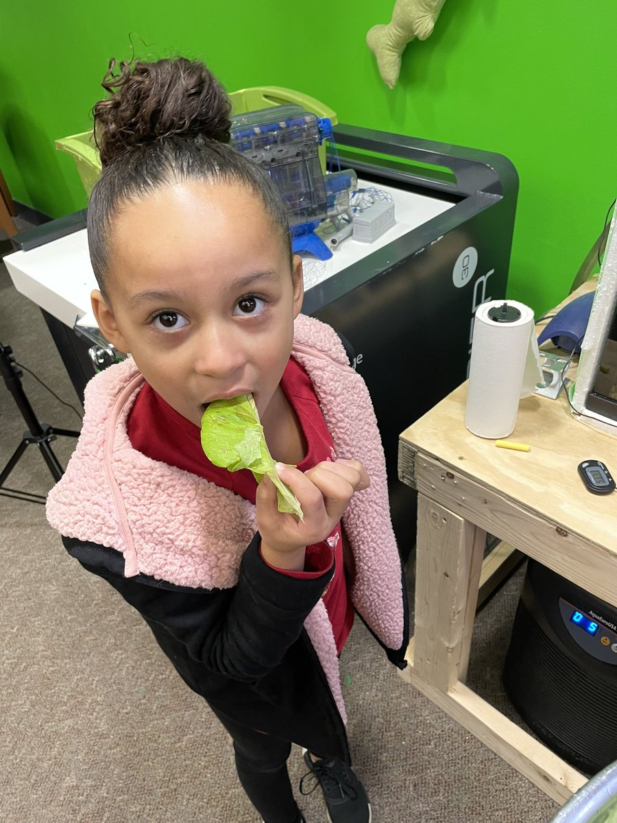 Mr.Burke tweet media