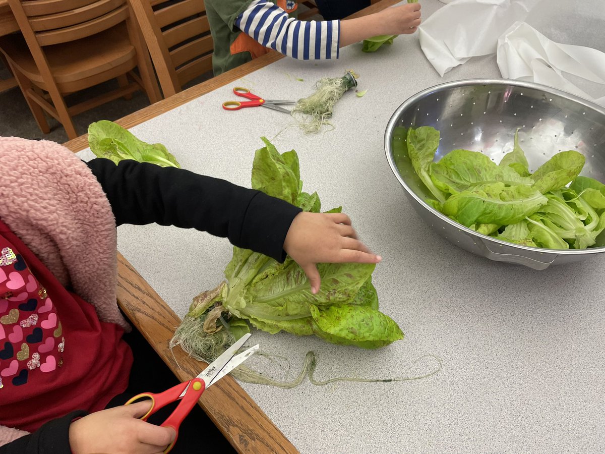 Mr.Burke tweet media