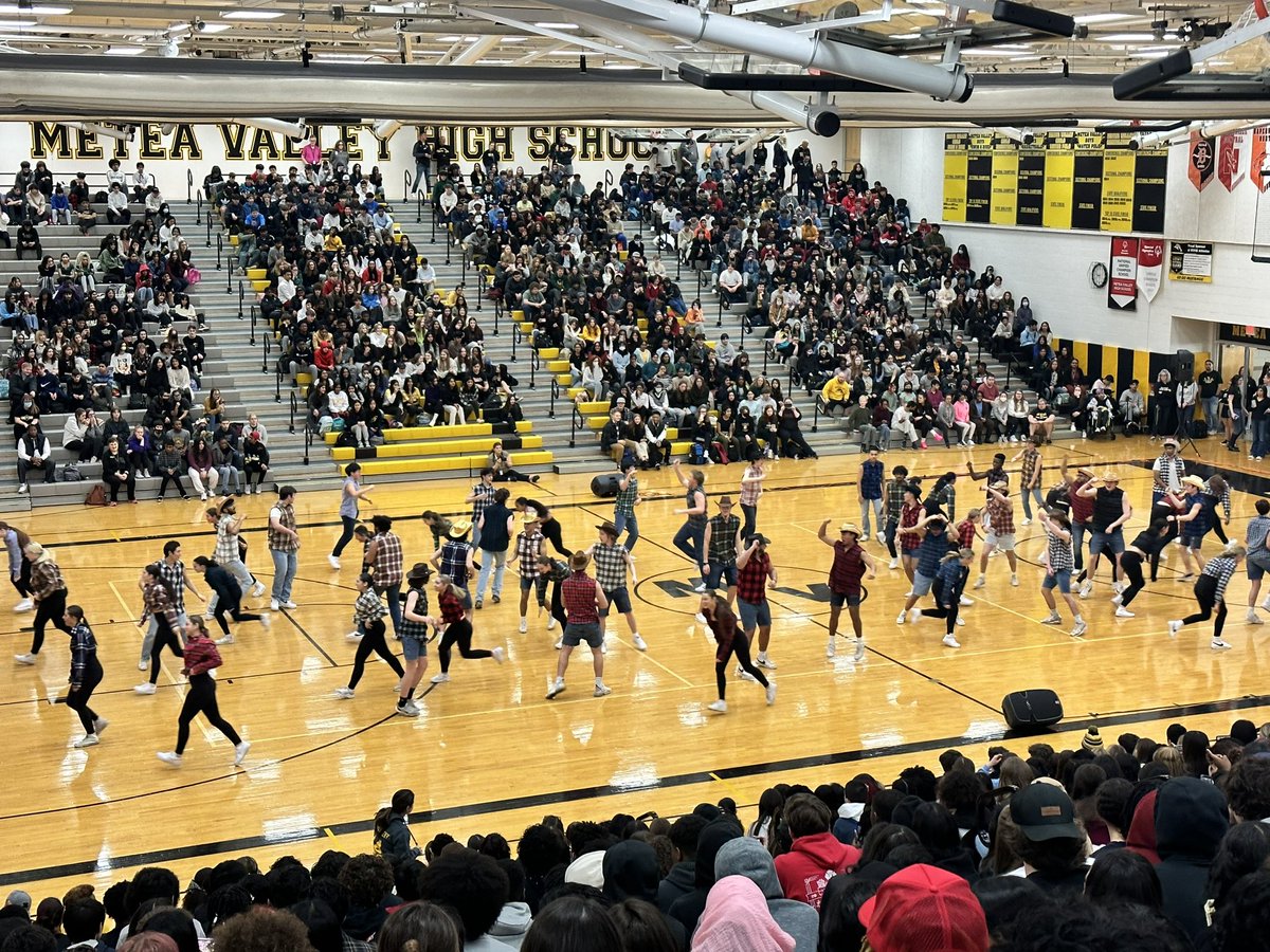 Megan Hall tweet media