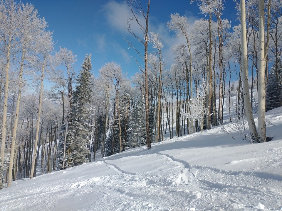 How are you planning to enjoy your gorgeous winter weekend? 

#colorado #lavonnegorsuch #grandjunctionco