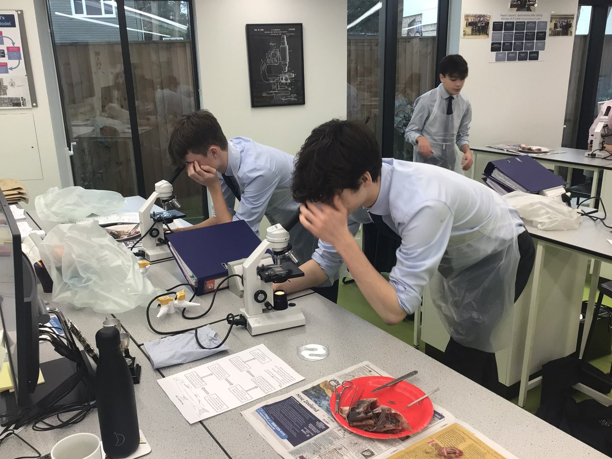 Reed's Science Dept. tweet media