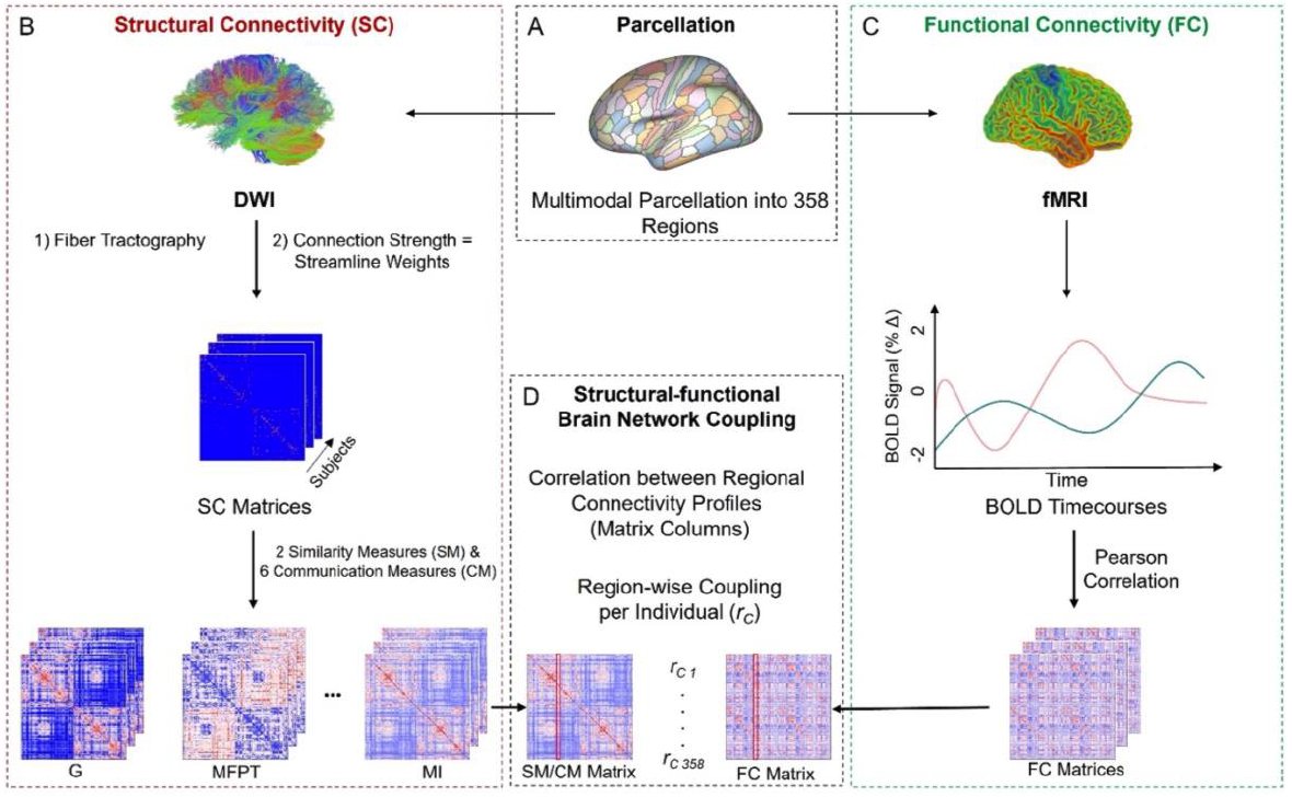 🥳📢 New Preprint: "Structural-Functional Brain Network Coupling Predicts Human Cognitive Ability". 1st paper of my great PhD Student <a href="/JohannaPopp1/">Johanna Popp</a> in collaboration <a href="/joshfasky/">josh</a> <a href="/spornslab/">Olaf Sporns</a> @caioseguin &gt;&gt; biorxiv.org/content/10.110…