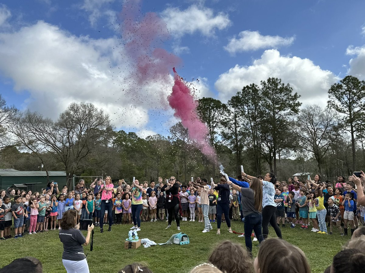 atblomeley's tweet photo. QHES Tortoise Speckles’ gender reveal! @LoraDarby @SciencePasco @pascoschools @KaraSmucker @LesleyKirkley https://t.co/QwXmLVHj1I