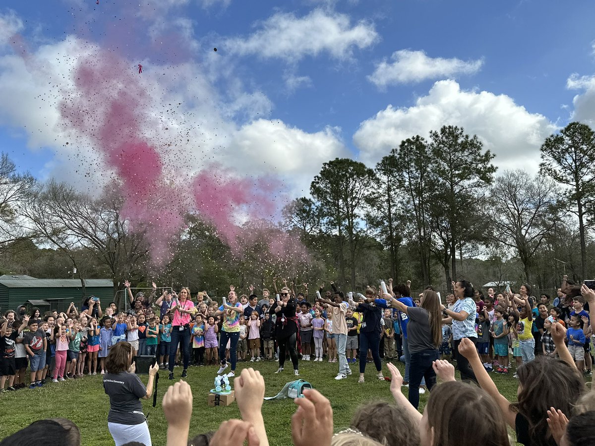 atblomeley's tweet photo. QHES Tortoise Speckles’ gender reveal! @LoraDarby @SciencePasco @pascoschools @KaraSmucker @LesleyKirkley https://t.co/QwXmLVHj1I