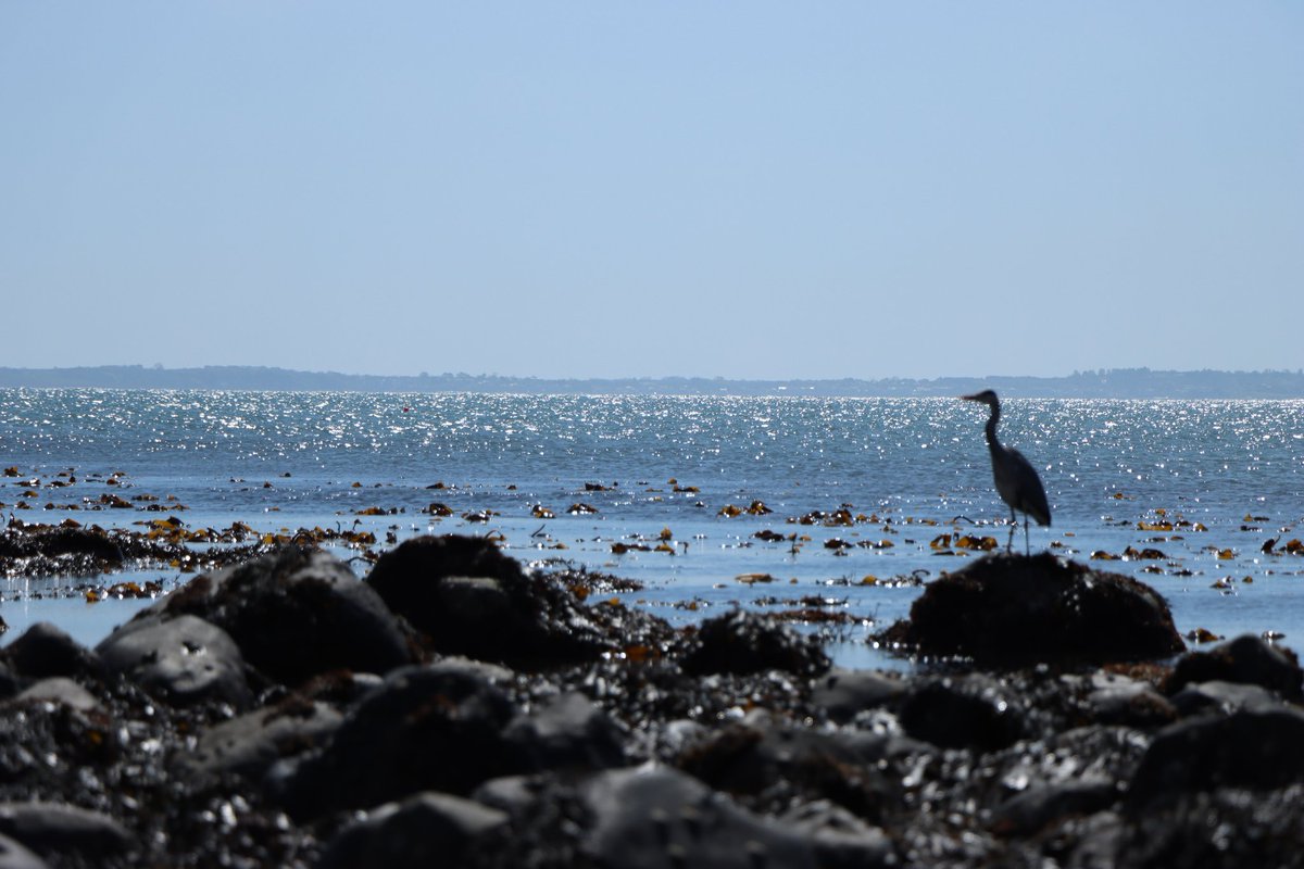 @jasonrowphoto Sea fishing #photo #photograghyisart