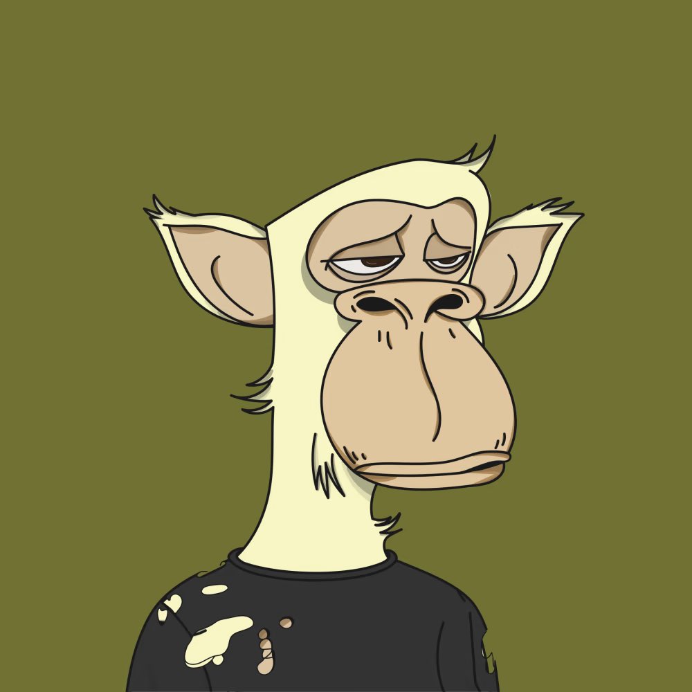 Polygon Ape: The Evolution tweet media
