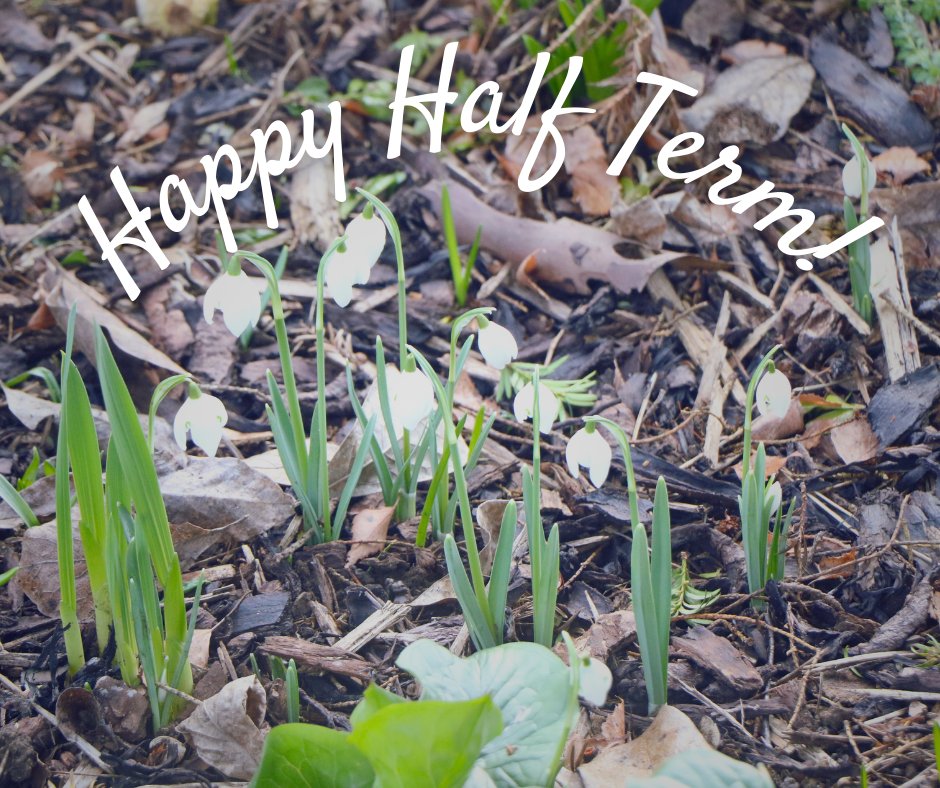 Bloxham School On Twitter We Hope All Our Pupils Have A Fun And bloxham-school-on-twitter-we-hope-all-our-pupils-have-a-fun-and