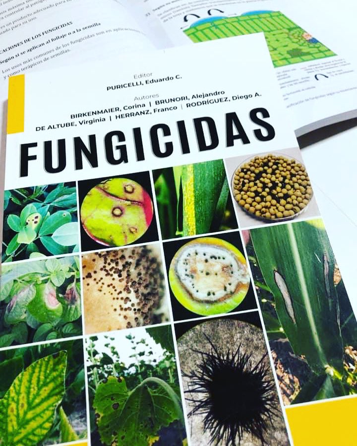 Franco Herranz tweet media