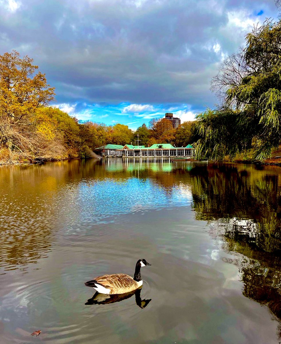 Elena🌸 tweet media