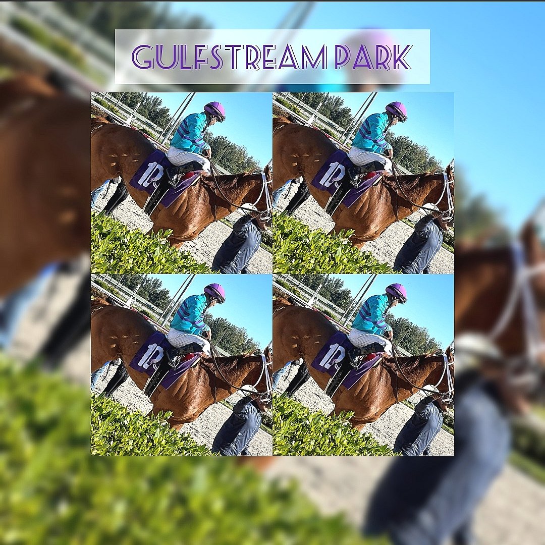Gilbert Osuna on Twitter "Marcas en Gulfstream Park 🏇🏽🇺🇲 Viernes, 10