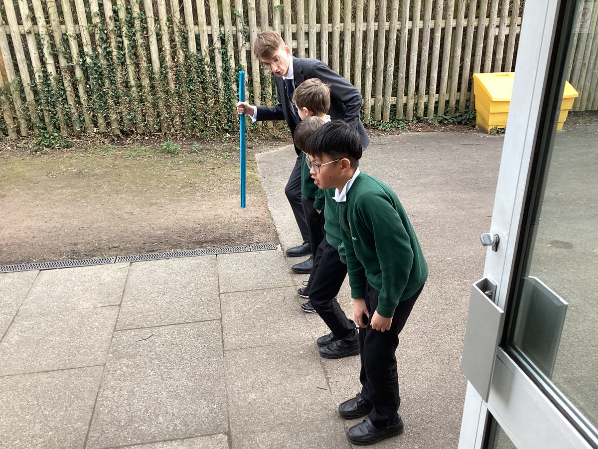 Meadowside Y6 Elder🌿🍃 tweet media