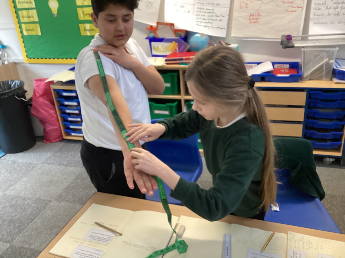 Meadowside Y6 Elder🌿🍃 tweet media