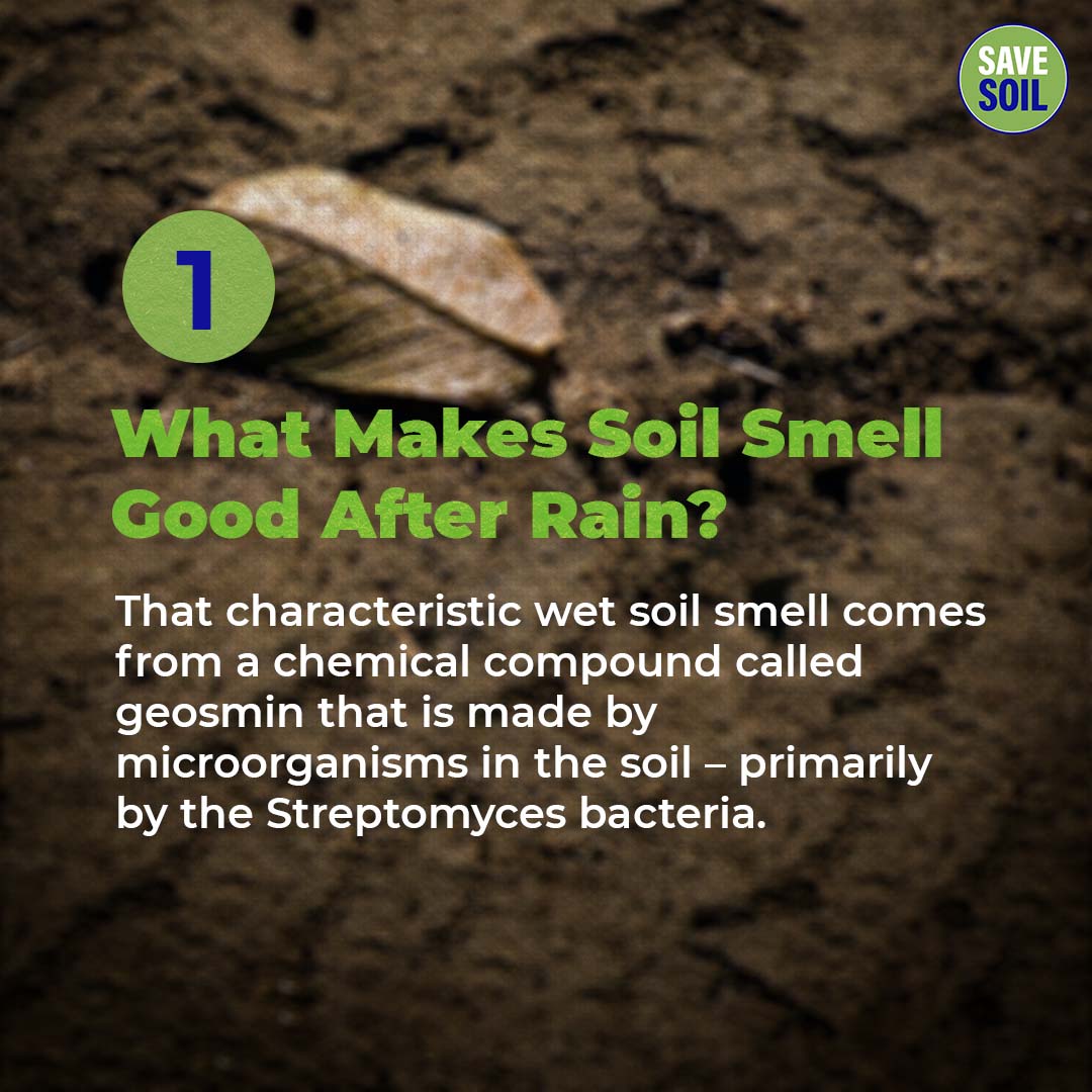 cpsavesoil's tweet photo. Here are some remarkable things that you may not know about Soil!

Action now. https://t.co/z6MmqLY2lE
#SaveSoil #ConsciousPlanet https://t.co/gNd1TbuxCs