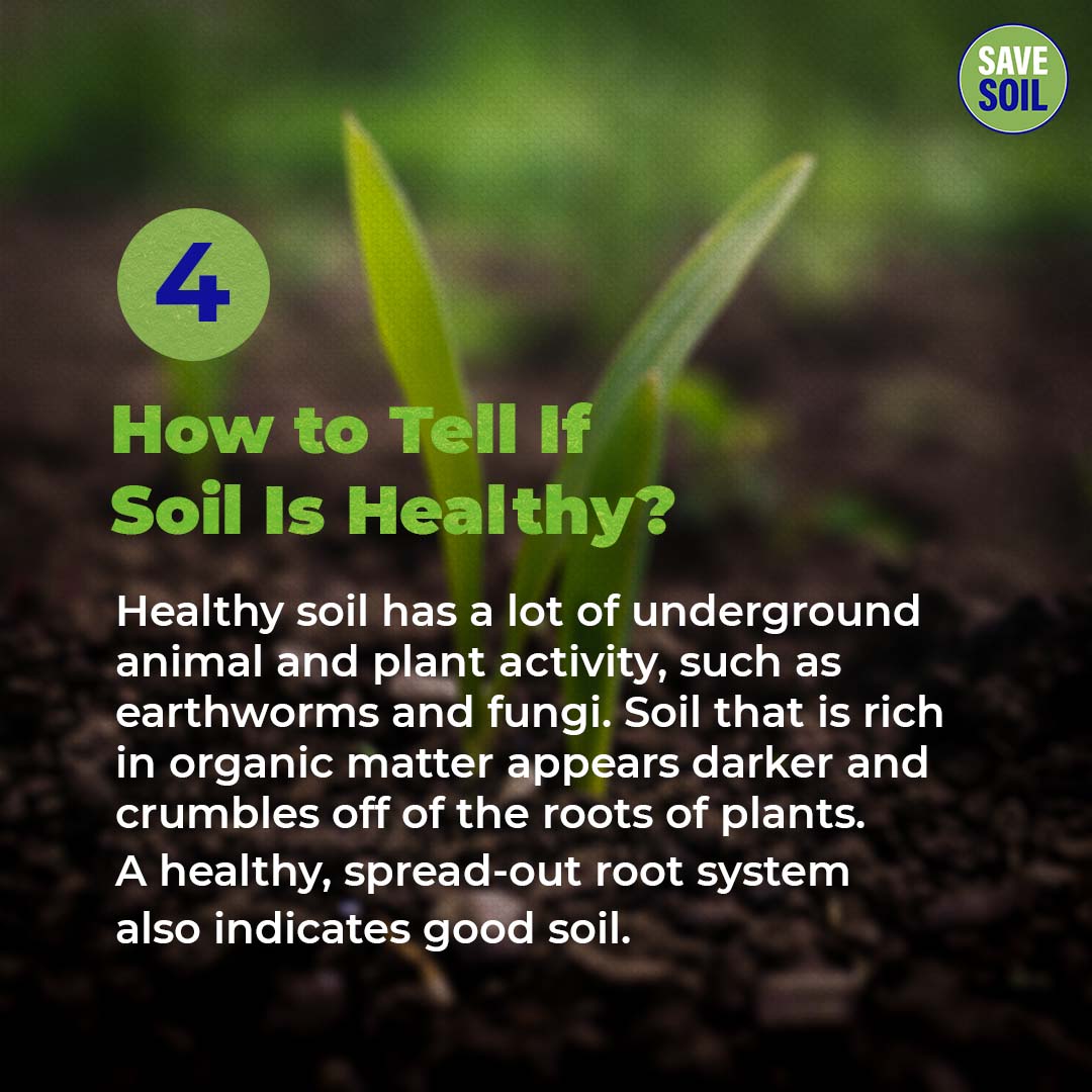 cpsavesoil's tweet photo. Here are some remarkable things that you may not know about Soil!

Action now. https://t.co/z6MmqLY2lE
#SaveSoil #ConsciousPlanet https://t.co/gNd1TbuxCs