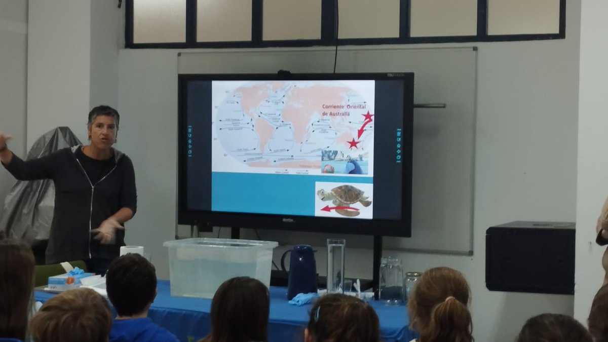 gemar_ieo's tweet photo. Nuestra compi @MargaraGar ha participado en el @11defebreroES hablando de la labor de mujeres y niñas en la Ciencia 👧👩‍🔬⚛️ implementando un taller de Corrientes Oceánicas 🌊 con alumnos de 4º de primaria.

Las compas del @IEO_Cadiz dando voz a las @Oceanicas_IEO más geo-físicas! https://t.co/CMaXMrj6MO