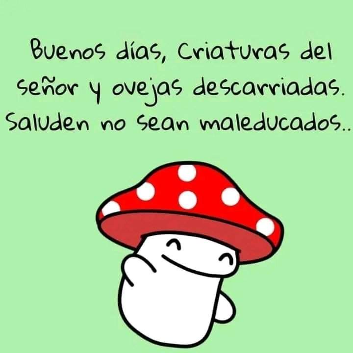 Funguitos (@funguitos) on Twitter photo 