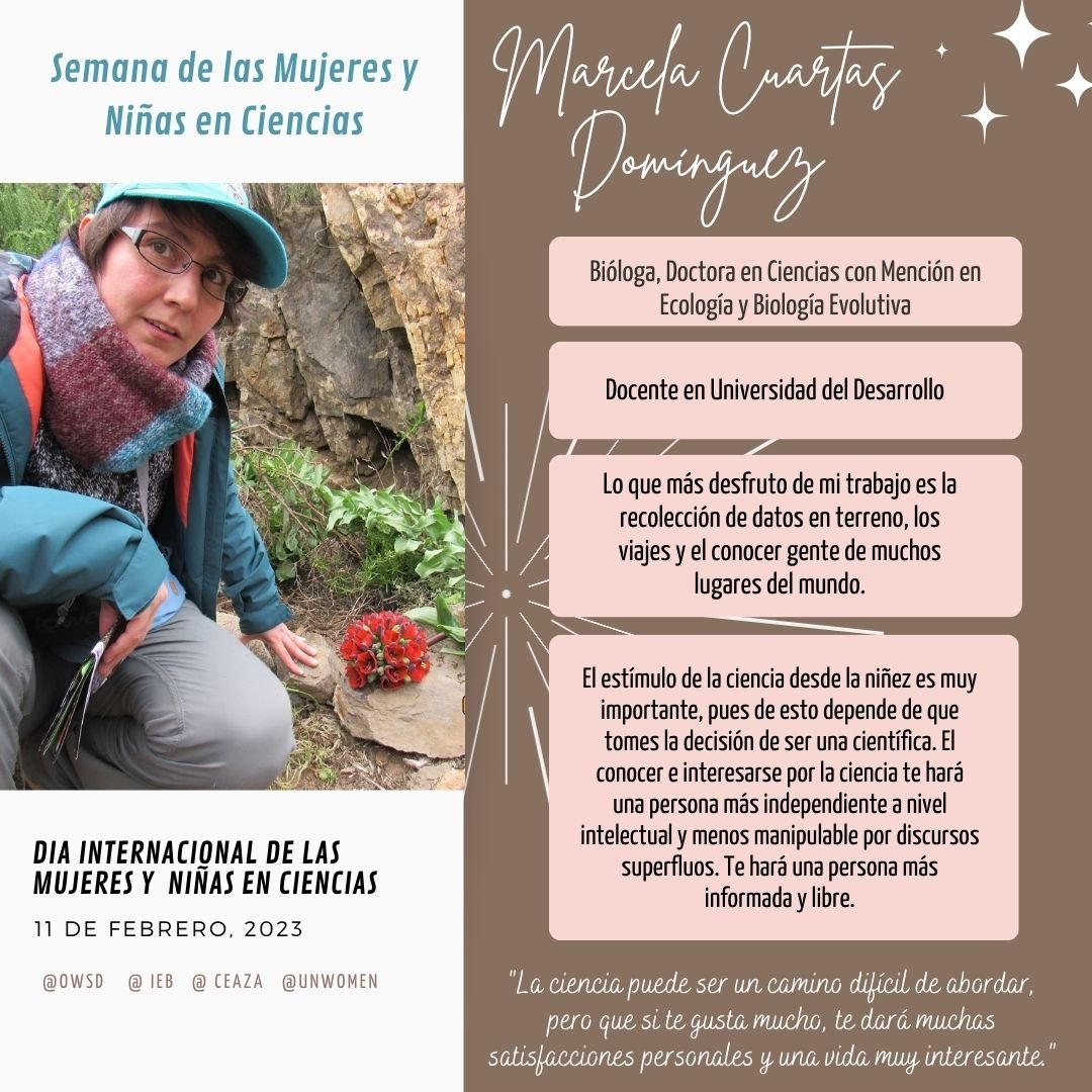 OWSD Chile (@owsd_cl) on Twitter photo 👩🔬👧Semana de la mujer y niña en la ciencias. Se celebra cada 11 de febrero, y en esta ocasión compartimos con ustedes a destacadas científicas de diferentes disciplinas🎉
#womeninscience #masmujeresmasciencia #OWSDLAC <a href="/OwsdSecretariat/">Org. for Women in Science for the Developing World</a> <a href="/IEBChile/">Instituto de Ecología y Biodiversidad - IEB</a> <a href="/cienciaceaza/">CEAZA</a> <a href="/UN_Women/">UN Women</a> 👩🔬👧Semana de la mujer y niña en la ciencias. Se celebra cada 11 de febrero, y en esta ocasión compartimos con ustedes a destacadas científicas de diferentes disciplinas🎉
#womeninscience #masmujeresmasciencia #OWSDLAC <a href="/OwsdSecretariat/">Org. for Women in Science for the Developing World</a> <a href="/IEBChile/">Instituto de Ecología y Biodiversidad - IEB</a> <a href="/cienciaceaza/">CEAZA</a> <a href="/UN_Women/">UN Women</a>