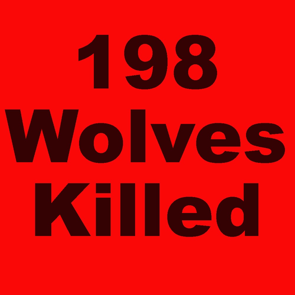 7 more Montana wolves killed as of yesterday. As of February 9, 2023 Montana has killed 198 wolves. This doesn't include poaching and other human-caused mortality. Join the fight to protect our wolves an wildlife.info@wolvesoftherockies.org
#mtfwp, #Takebackourwildlife