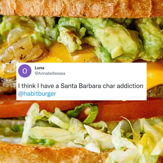 The Habit Burger Grill tweet media