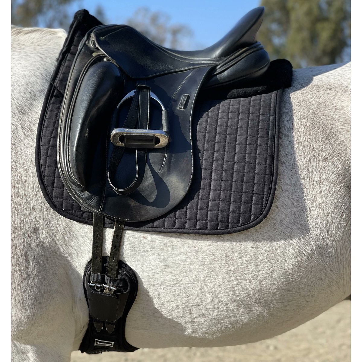 Our new split wither shimmable merino wool dressage pad pairs well with our spur saver dressage girth - plus get a free Valentine's bonnet when you order before February 14th!