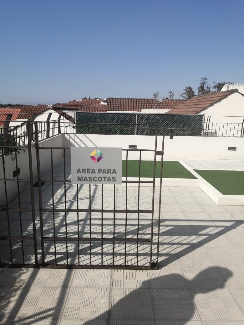 BonanzaBRGT's tweet photo. Citas este sábado 11 febrero desde 10 am. Más información a 3360 7044 y 3317 2667.

En Apartamentos Alegría, Condado Naranjo, zona 4 mixco.

#apartamentoenrenta #apartamento #alquiler #serenta #sabadoderenta #sabado #naranjo #condadonaranjo https://t.co/0gpqi8ghVI