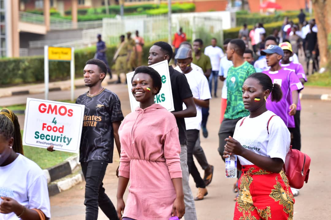 alosiousnyeha's tweet photo. #Walk4GMOs Scientists and farmers are advocating for a ban lift on GMOs in Uganda. Innovation for food security #Yes2FoodSecurity
@PatNanteza @RePlanetAfrica @TridiUganda @NaroKawanda https://t.co/aPMny3apw7